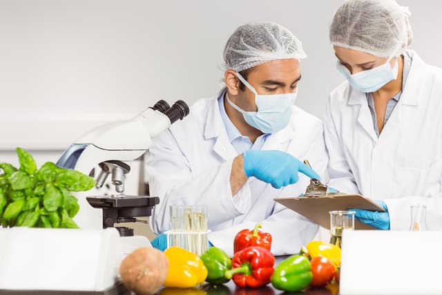 How R&D is Transforming the Food Industry: Tax Credits You Should Know About